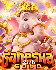 3976.COM